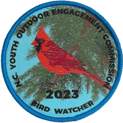 Bird Watcher