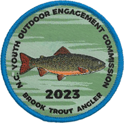 Brook Trout Angler