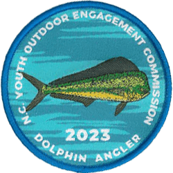 Dolphin Angler