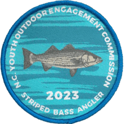 Striped Bass Angler