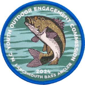Bass24