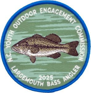 Bass25