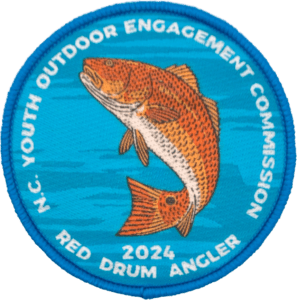 Drum24