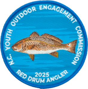 Drum25