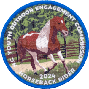 Horse24