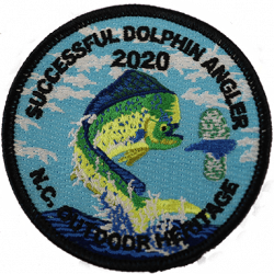 Dolphin2020